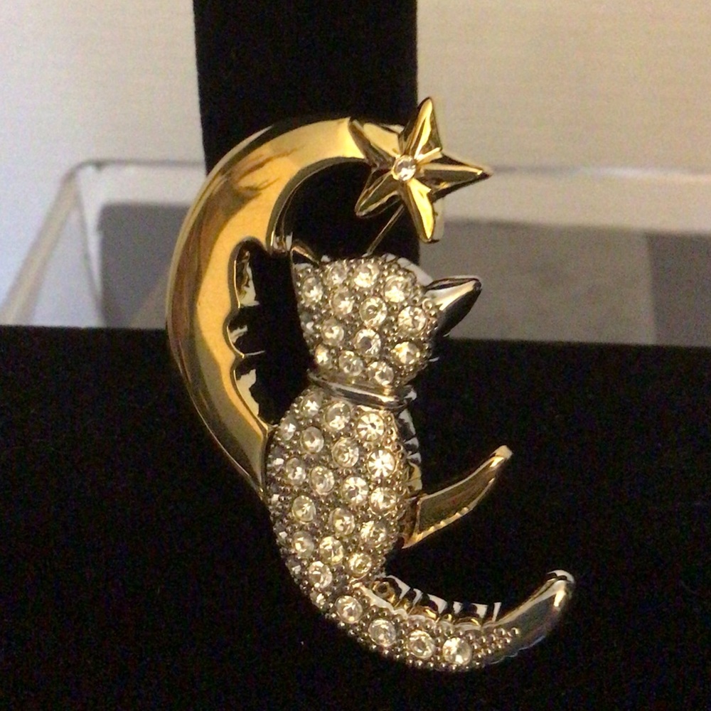 Cat And Moon Fashion Brooch